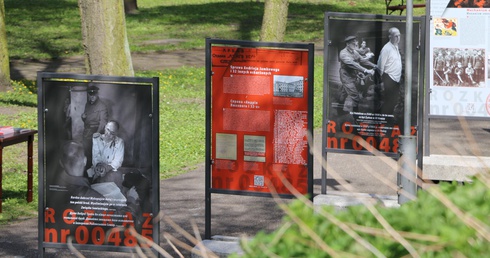 Pułtusk. Pamięci tych, co za polskość zginęli