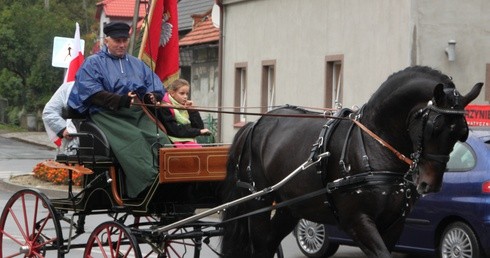 Z czworonożnymi przyjaciółmi