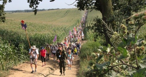 Trwają zapisy na 44. Pieszą Pielgrzymkę Wrocławską. A tuż przed jej rozpoczęciem…