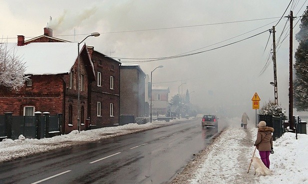 Śląskie. Polski Alarm Smogowy o braku kontroli kotłowni. Skrytykowane też m.in. Goczałkowice-Zdrój i Ustroń