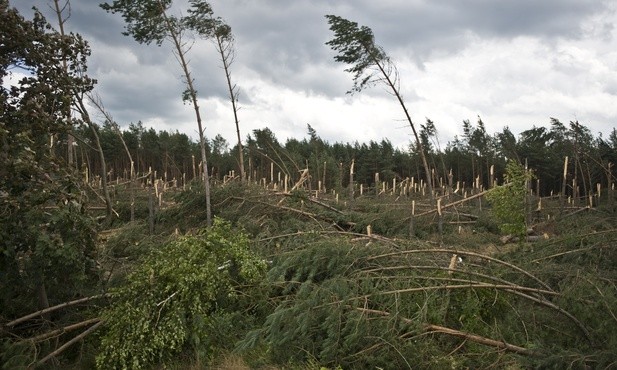Wiatr wiele może