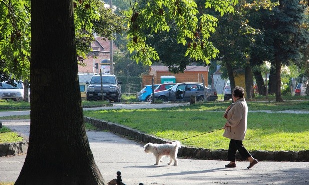 Kontrola oddechu! A wyniki w smartfonie