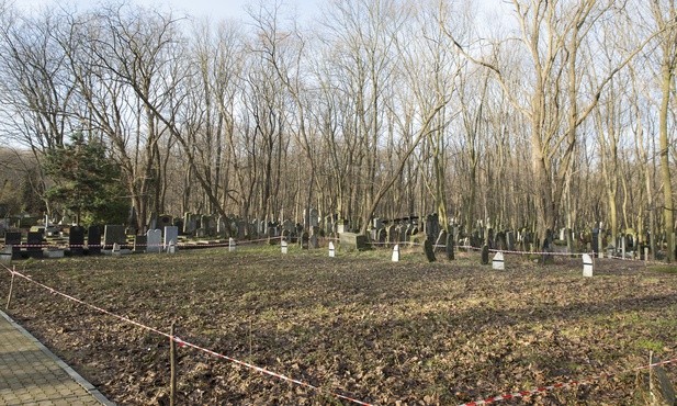 Gdzie spotkamy najwięcej ptaków? Nie zgadniecie