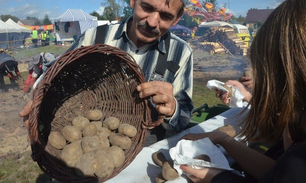 Niedoceniany ziemniak