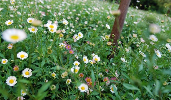 Łaskawy dla najmniejszych