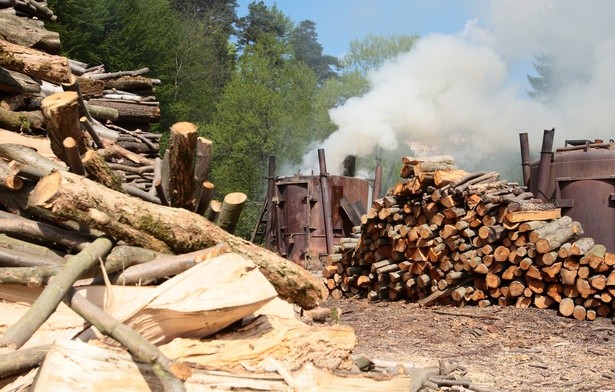 Produkcja węgla drzewnego dziś