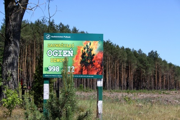 "Pożarowa pogoda" w polskich lasach