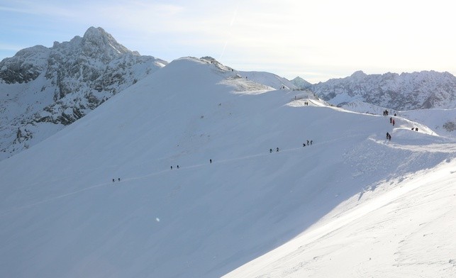 Gdyby zima nie była tak śnieżna...