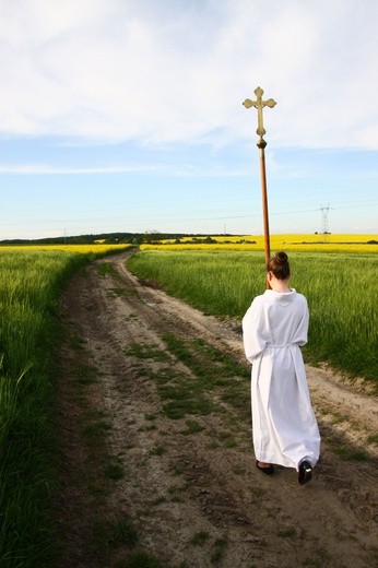 Święty Izydor idzie na pole