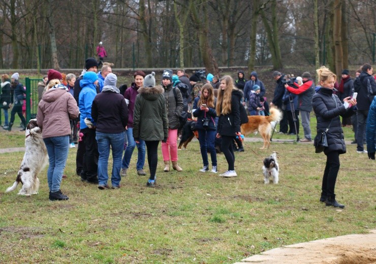 Park dla psów w Elblągu