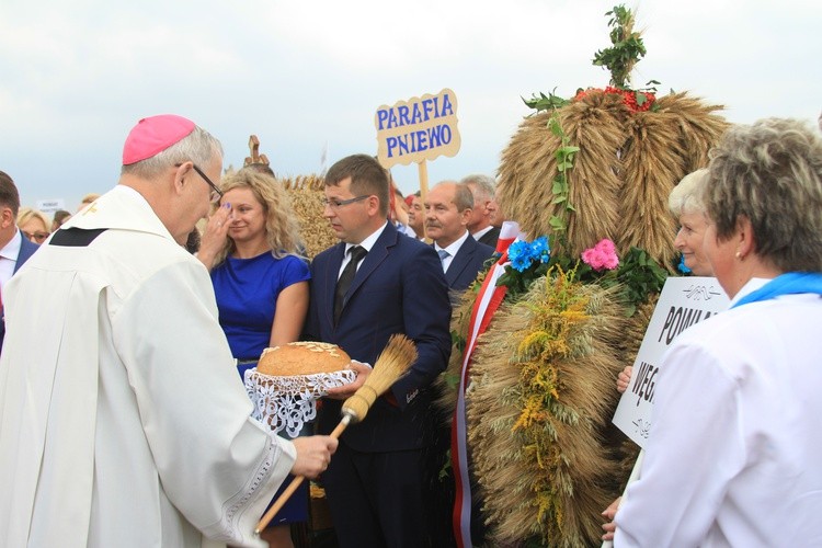 Dożynki diecezjalne. Część 2