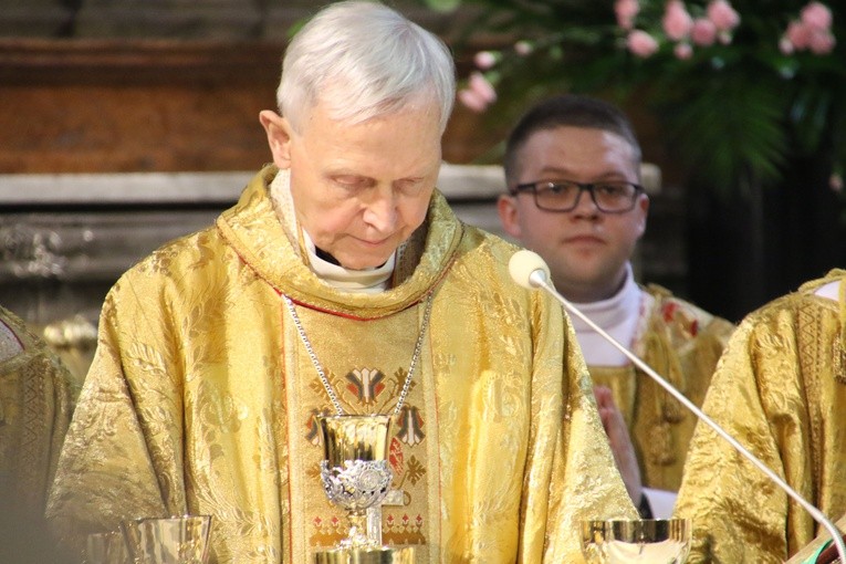 Święcenia kapłańskie w Płocku. Część II