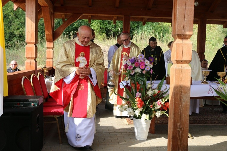 Dobrzyń nad Wisłą. Powitanie figury św. Jakuba