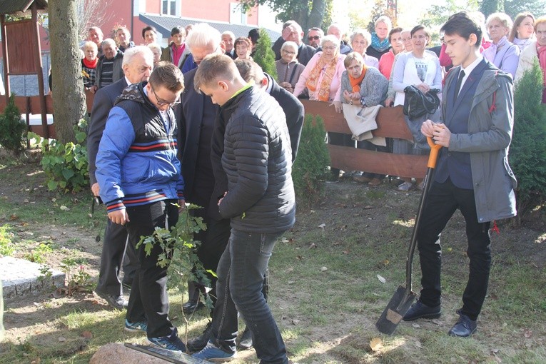 Dąb Pamięci w par. Janowiec Kościelny