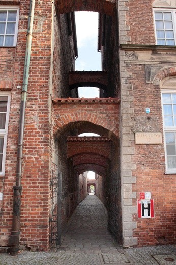 Katedra w Elblągu