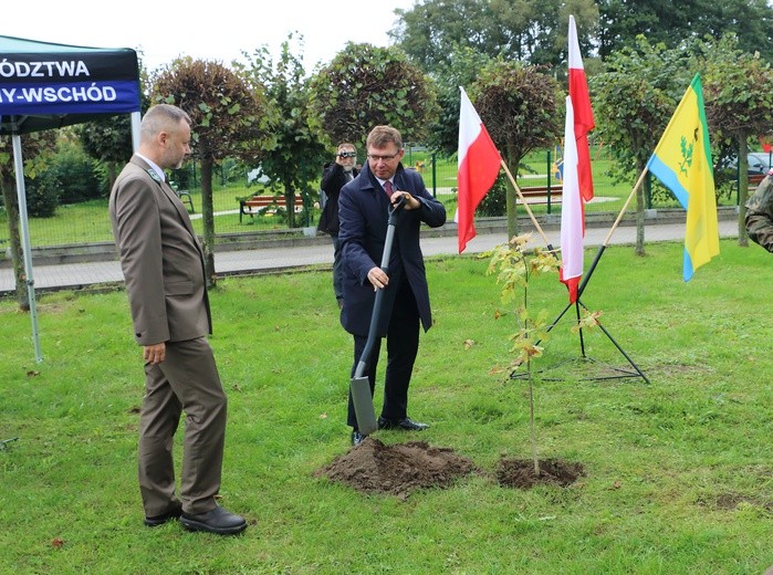 Dęby pamięci w Tolkmicku
