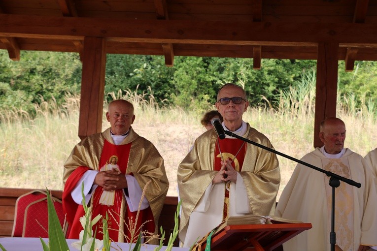 Dobrzyń nad Wisłą. Powitanie figury św. Jakuba