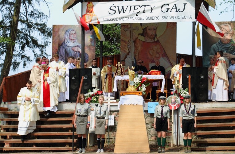Uroczystości w Świętym Gaju
