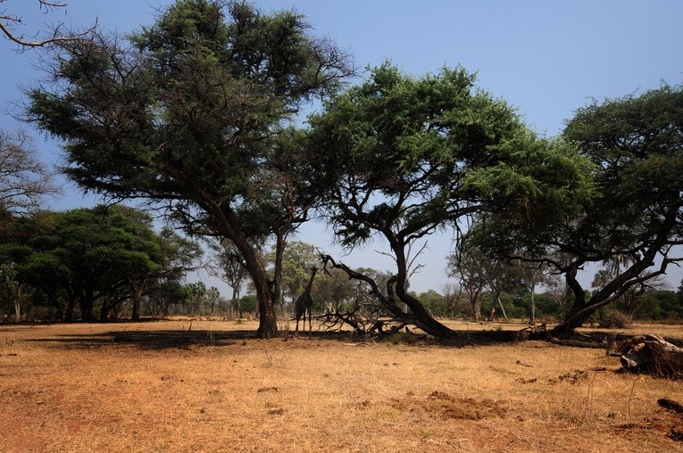 Nigeria: zamordowano księdza klaretyna