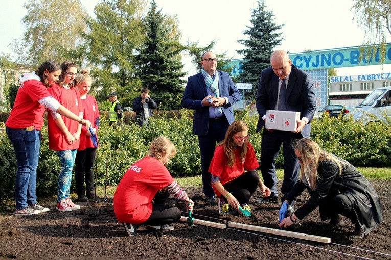 Pola Nadziei w Płocku