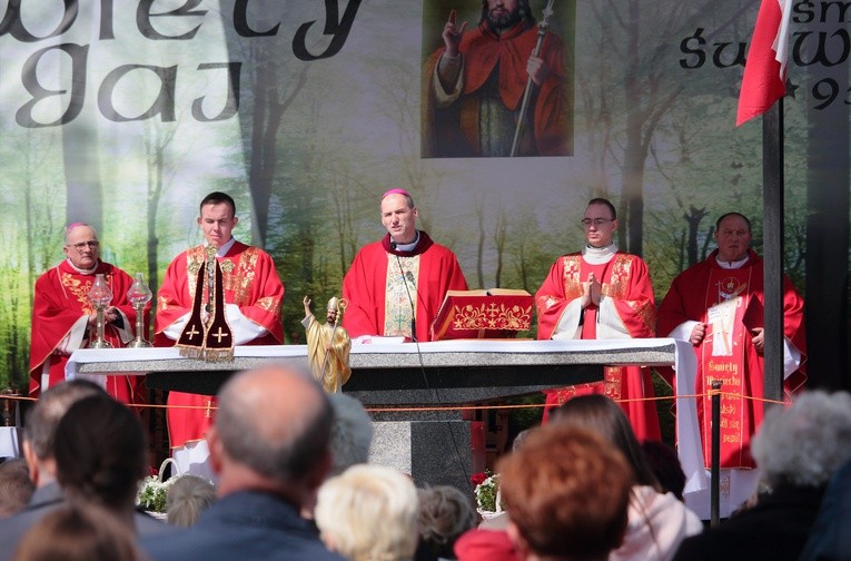 Święty Gaj - uroczystości odpustowe