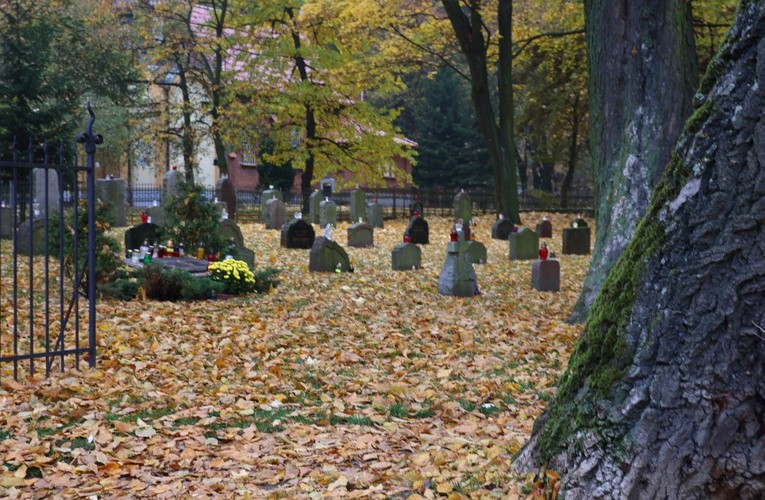 Cmentarz słynnych elblążan