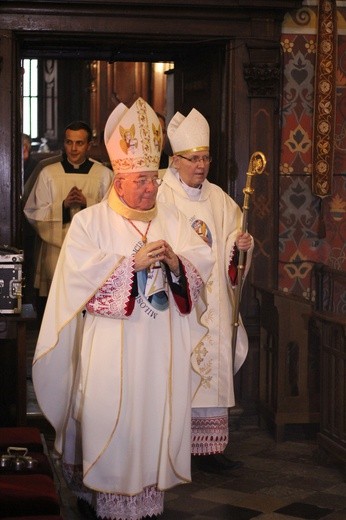 Rozpoczęcie Roku Miłosierdzia w diecezji - cz. 1