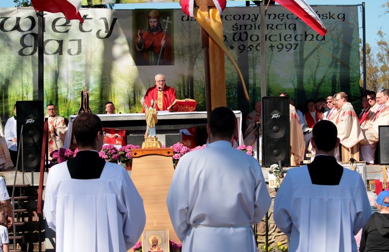 Święty Gaj - uroczystości odpustowe
