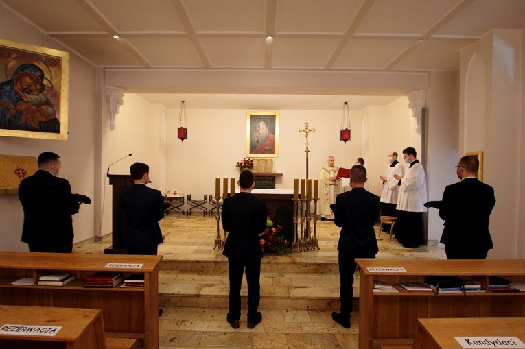 WSD - obłóczyny