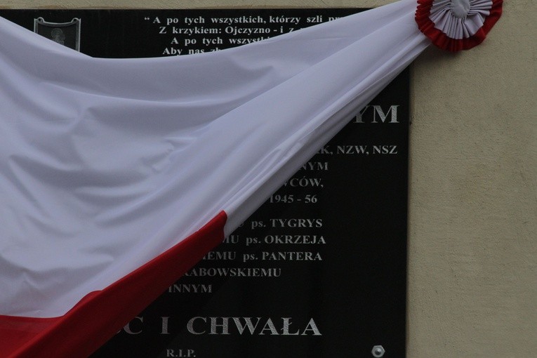 Płock. Pamięci żołnierzy wyklętych