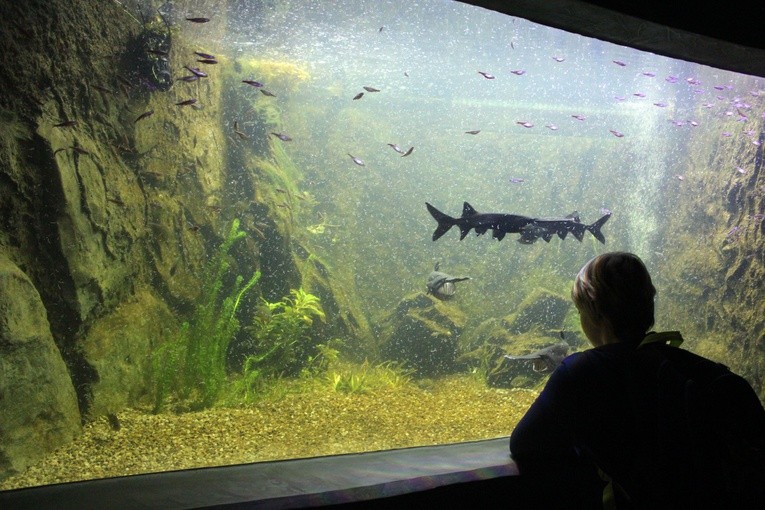 W płockim ZOO