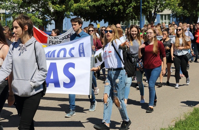 Turbinalia 2019