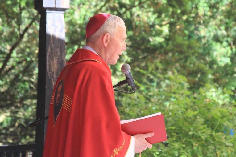 Brwilno. Biskup płocki w Antoniówce