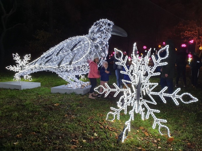 Park Miliona Świateł w Zabrzu