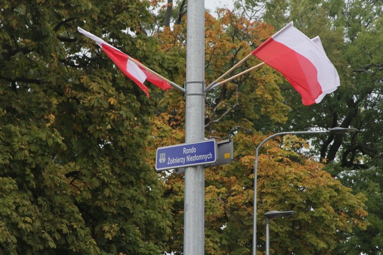 Uroczystości patriotyczne w Gostyninie