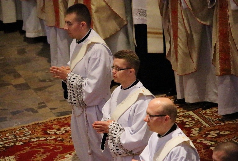 Elbląg - święcenia kapłańskie