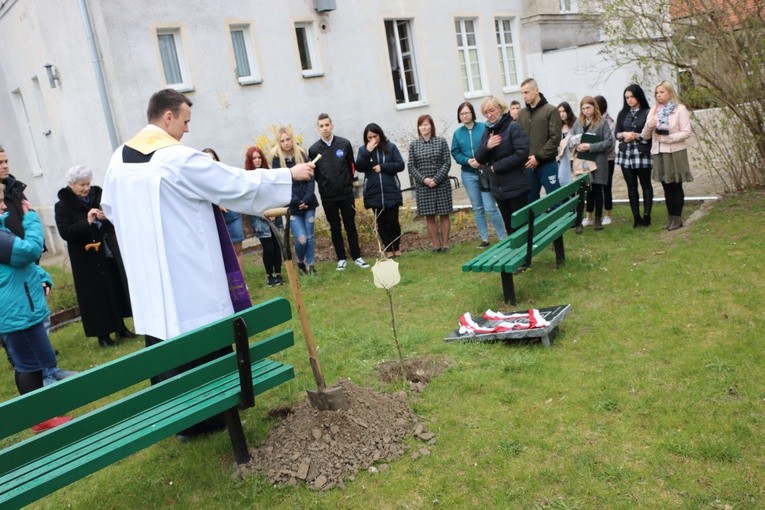 Bursa nr 4 w Elblągu - sadzenie dębu pamięci