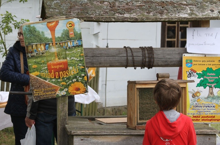 Miodobranie w Skansenie