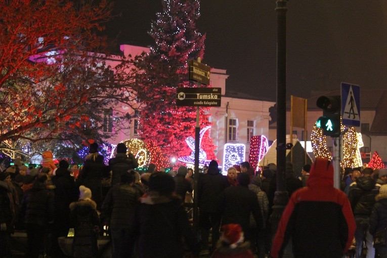 Płockie Ogrody Światła