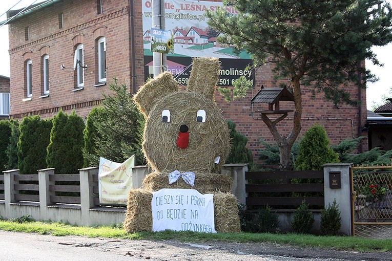 Śląskie dożynki w Pilchowicach
