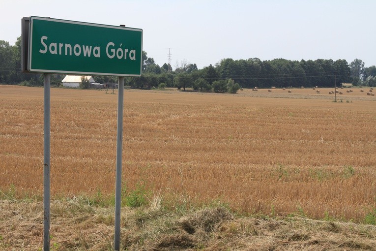 Sarnowa Góra. Obchody 102. rocznicy bitwy z 1920 r.