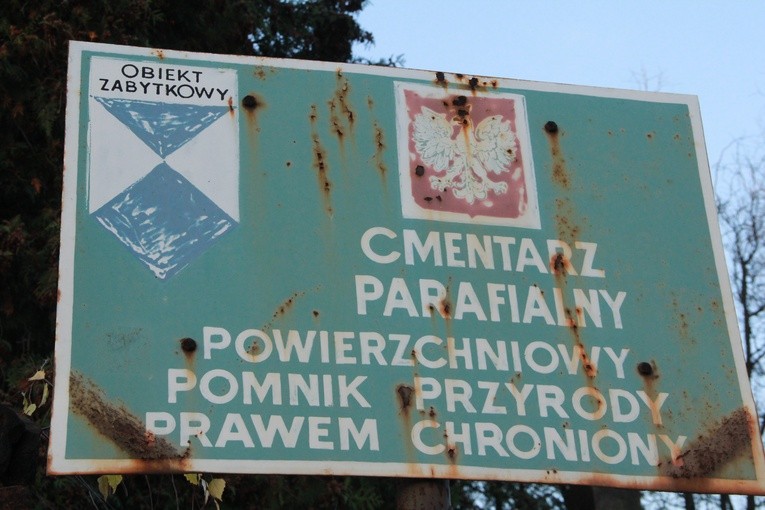 Stary cmentarz w Dębicy