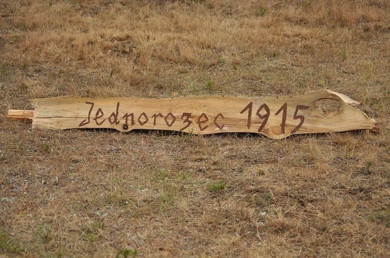 Rocznica bitwy przasnyskiej