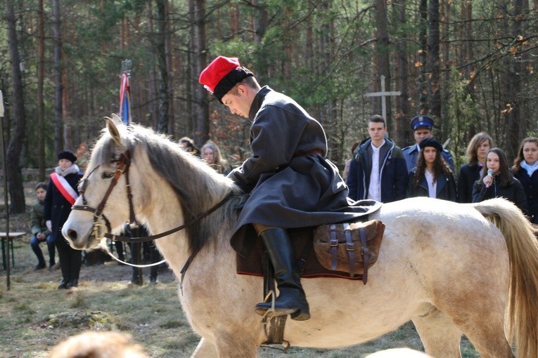 Uroczystości patriotyczne k. Radzanowa n. Wkrą