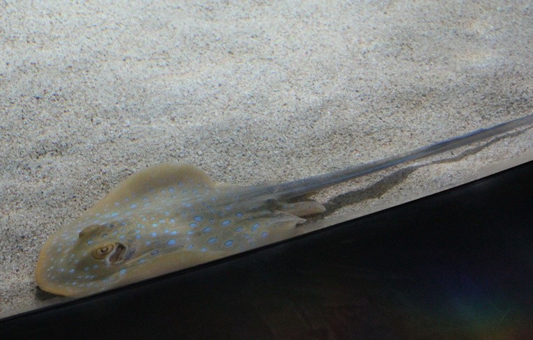 W płockim ZOO