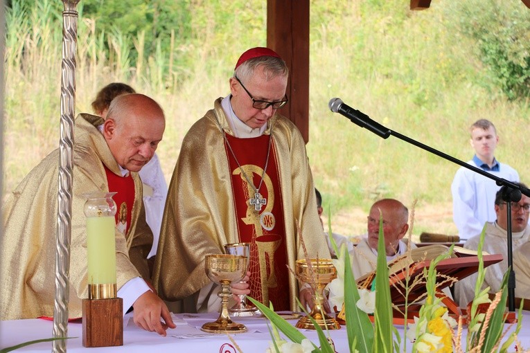 Dobrzyń nad Wisłą. Powitanie figury św. Jakuba