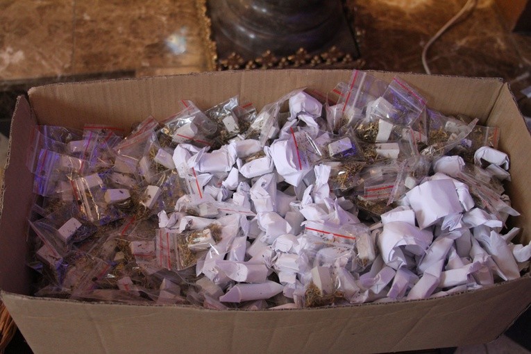 Proboszczewice. Orszak Trzech Króli