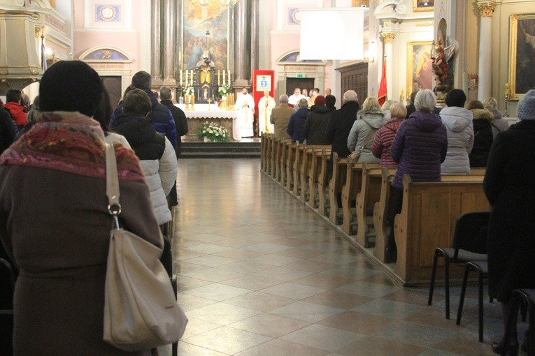 Płock. Stulecie franciszkanów świeckich