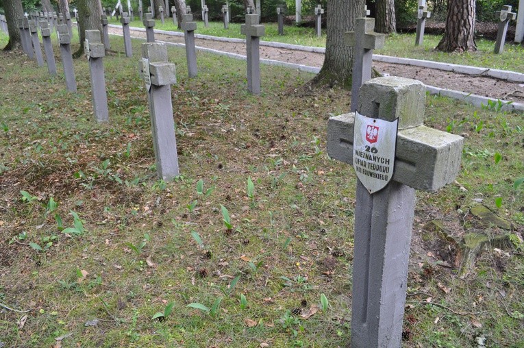 Cmentarz w lesie ościsłowskim