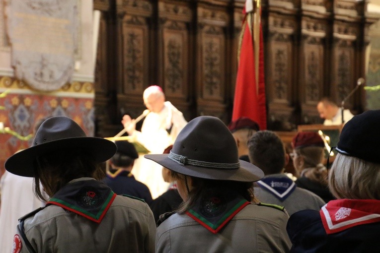 Płock. Dni Chorągwi Mazowieckiej ZHP